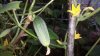 20160829_190441.jpg