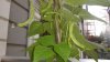 20160829_190539.jpg