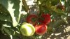 WP_20140710_17_03_46_Pro.jpg