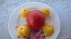WP_20150804_10_17_31_Pro.jpg
