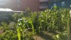 WP_20160709_08_09_48_Pro.jpg