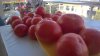 WP_20160807_08_52_55_Pro.jpg