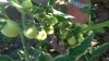 WP_20160604_08_15_57_Pro.jpg