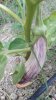 20160624_190847.jpg