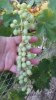 20160624_193019.jpg