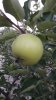 20160624_193048.jpg