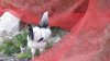 20160624_193322.jpg