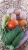 20160624_195249.jpg