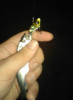 upload_2016-10-8_14-52-2.png upload_2016-10-8_14-52-2.png