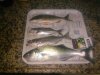 IMG_20161030_032921.jpg
