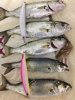 IMG-20161117-WA0000.jpg