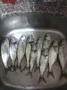 IMG_20131128_100519.jpg