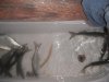 DSCF5283.jpg