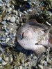 20131117_102518.jpg