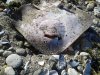 20131117_102525.jpg