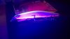 WP_20161224_13_56_47_Pro.jpg