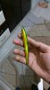 IMAG0047.jpg