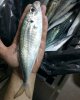 IMG_20170204_235412_631.jpg