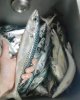 IMG_20170204_234607_945.jpg