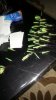 IMG-20170318-WA0012.jpeg