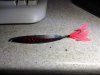20170328_235655.jpg