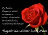 IMG-20170330-WA0000.jpg