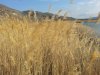 20170401_091012.jpg