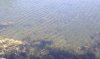 IMAG0866.jpg