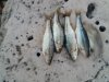 20170514_195644.jpg