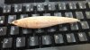 20170515_153522.jpg