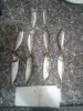 20170608_203200.jpg 20170608_203200.jpg