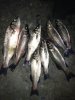 IMG-20140321-WA0019.jpg