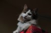 DSC_7527.JPG