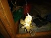 IMG_20170728_225509.jpg