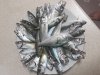 IMG_20170804_014059.jpg