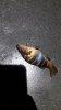 20170810_203234.jpg