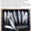 yaziliorkinos.png yaziliorkinos.png