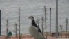 20180219_152417.jpg 20180219_152417.jpg