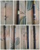 180320_232059_COLLAGE-1.jpg