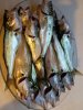 20180511_060228.jpg