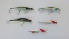 d2 (2).jpg