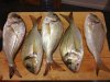 IMG_20180707_055231.jpg
