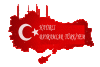 1tx3qr31mxokw6dj.gif