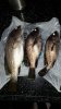 IMG-20180918-WA0005.jpg