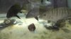 Screenshot_20181025-174959_Video Player.jpg