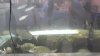 Screenshot_20181025-175020_Video Player.jpg