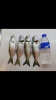 82AAFDBB-DB9C-48D4-82BE-DD9ACDFC376B.png