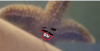 2.png 2.png