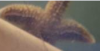 upload_2018-11-19_10-4-26.png