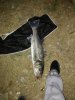 IMG-20171121-WA0014.jpeg